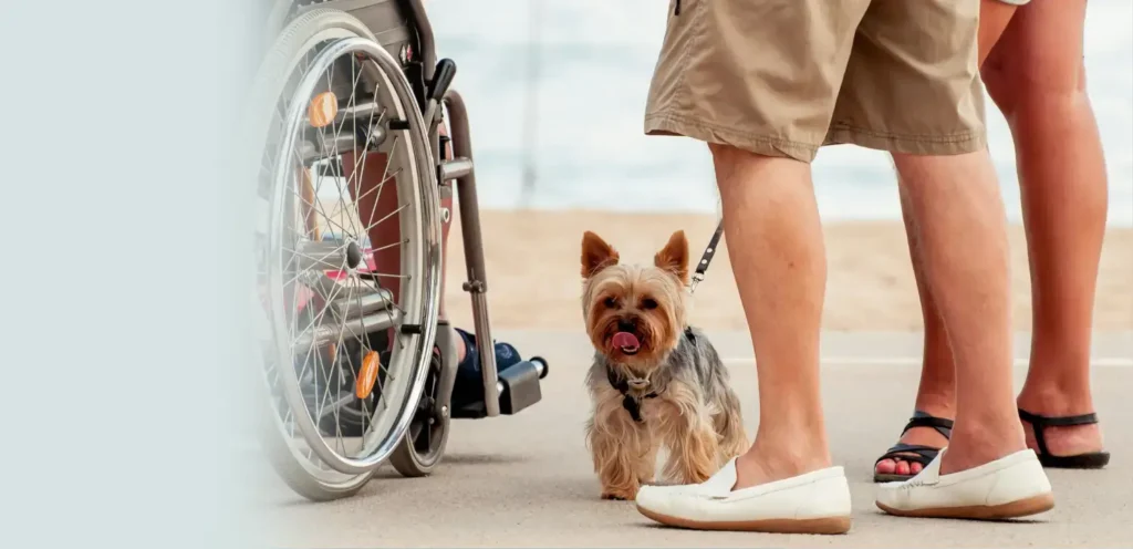 Caring for a pet while having a disability!