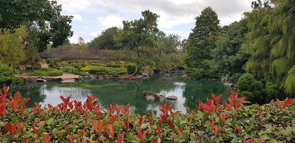 Japanese Garden at Auburn Botanic Gardens in Sydney, Australia.