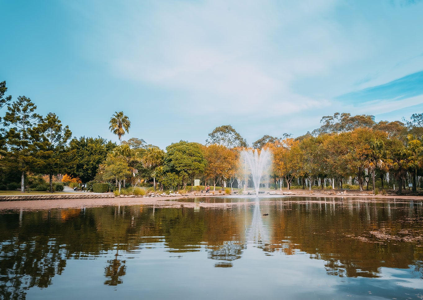 Nurragingy Reserve in Blacktown NSW