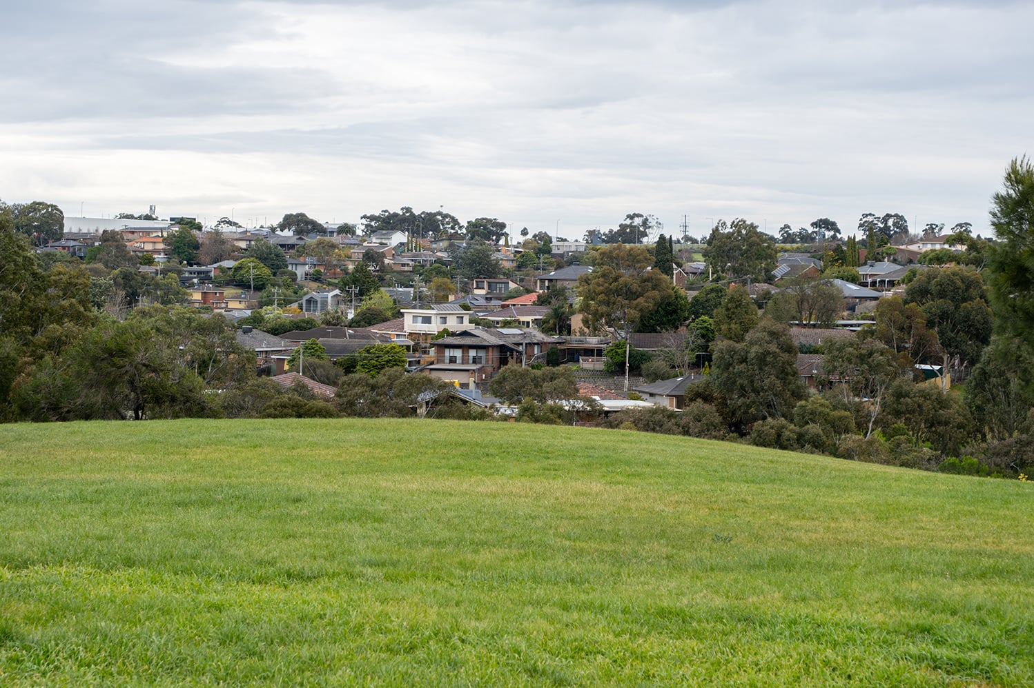 Park and hillside image from the suburb of Pascoe Vale