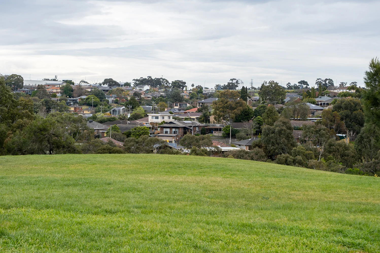 Park and hillside image from the suburb of Pascoe Vale