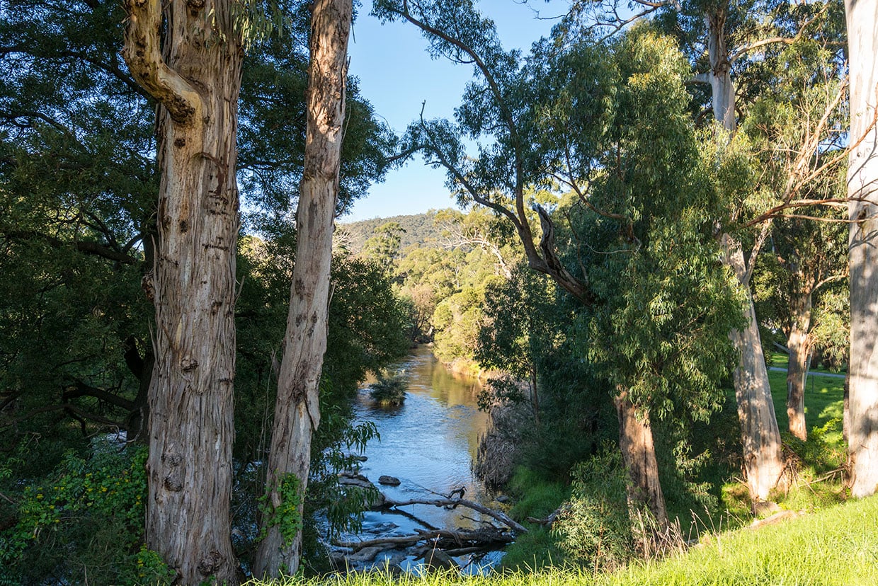 Yarra River in the Yarra Ranges