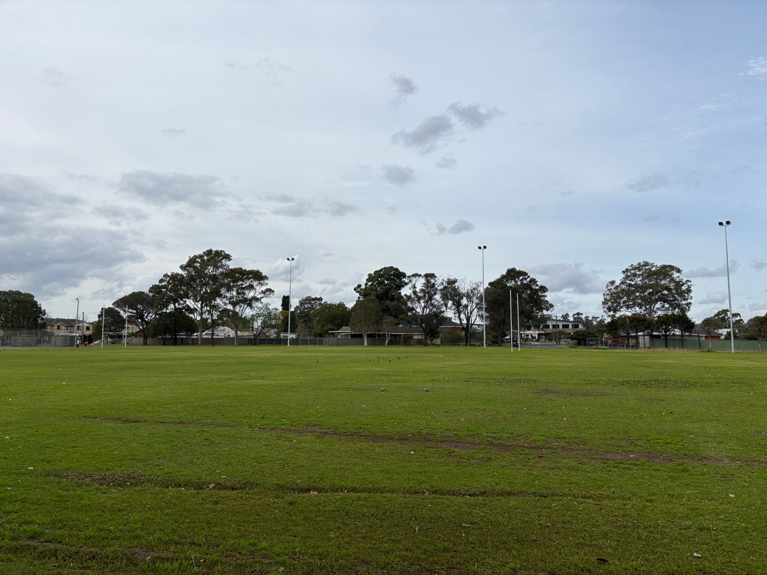 Sporting oval at Mt Druitt by Nick D.