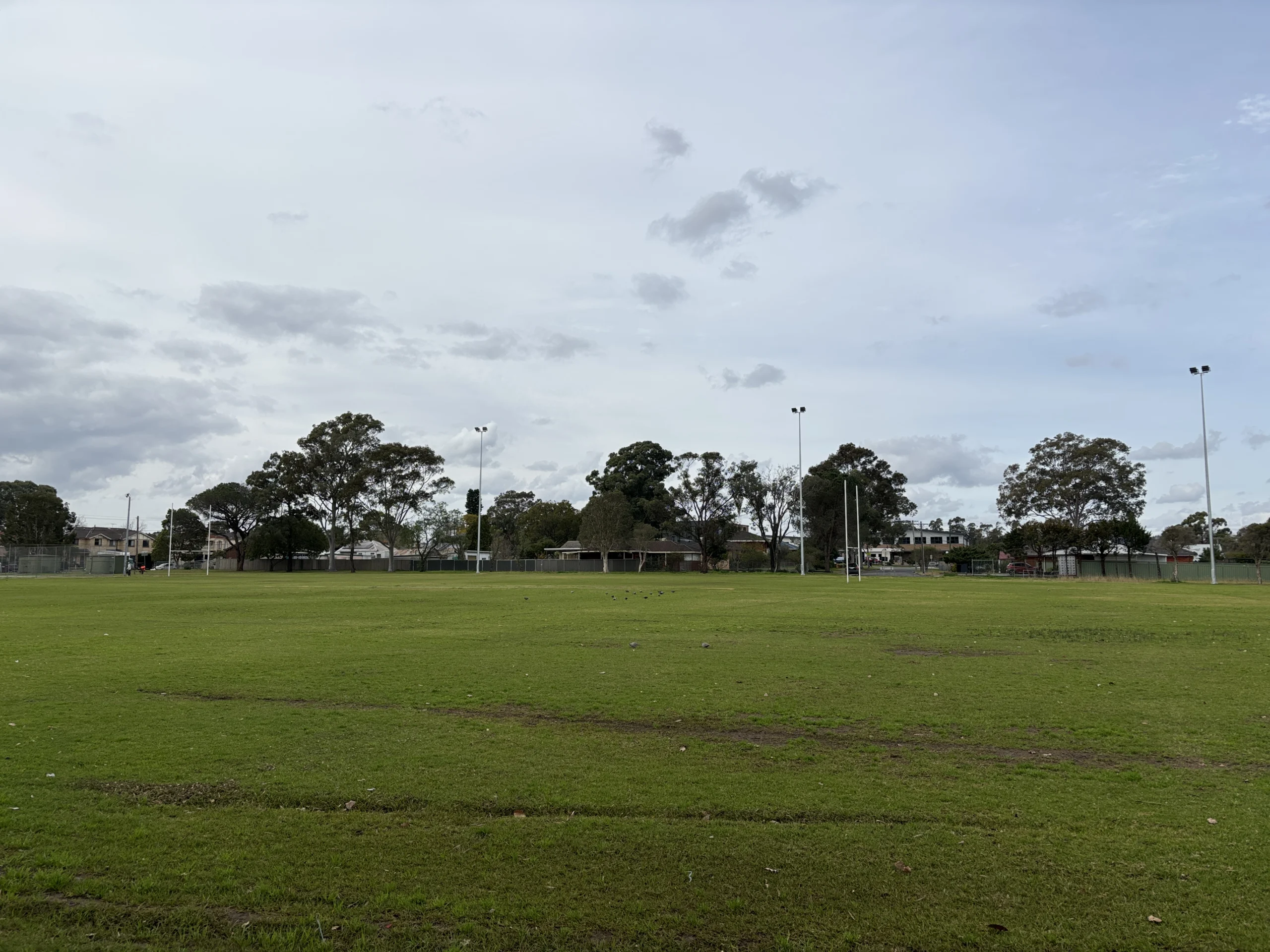 Sporting oval at Mt Druitt by Nick D.